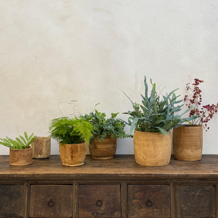 Sunbleached Wooden Nepali Plant Pots