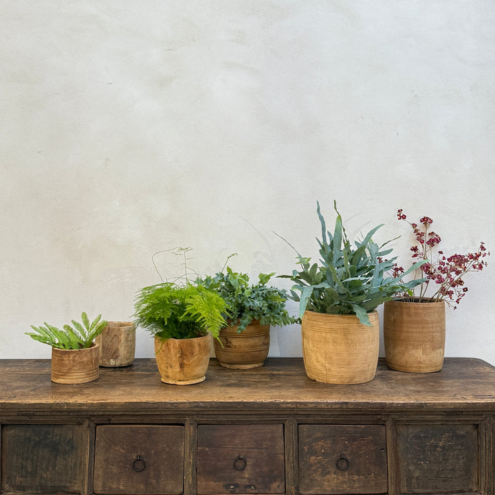 Sunbleached Wooden Nepali Plant Pots