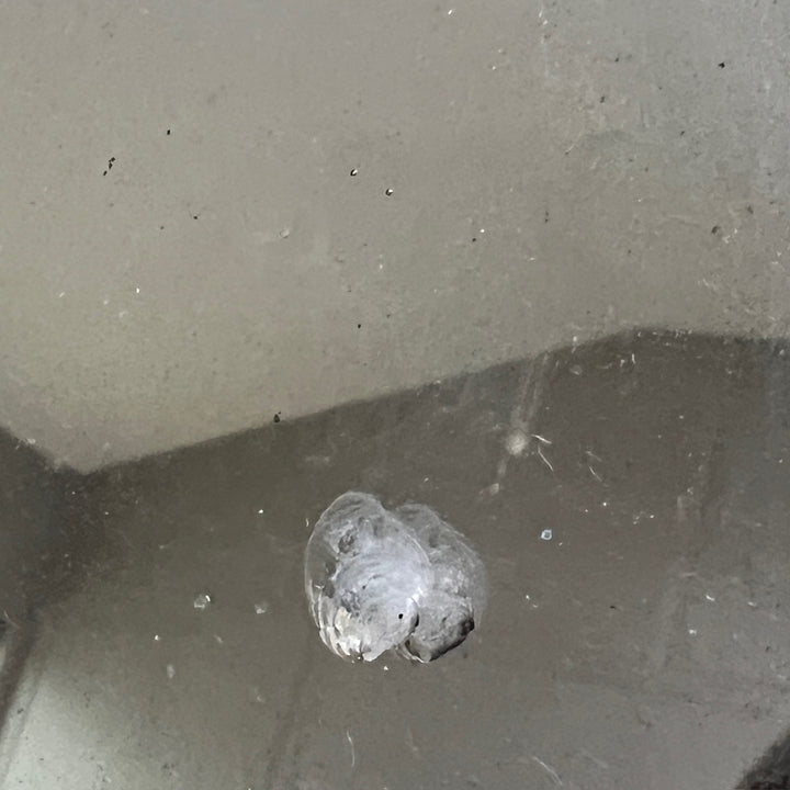 Antique French Foxed Glass Mirror