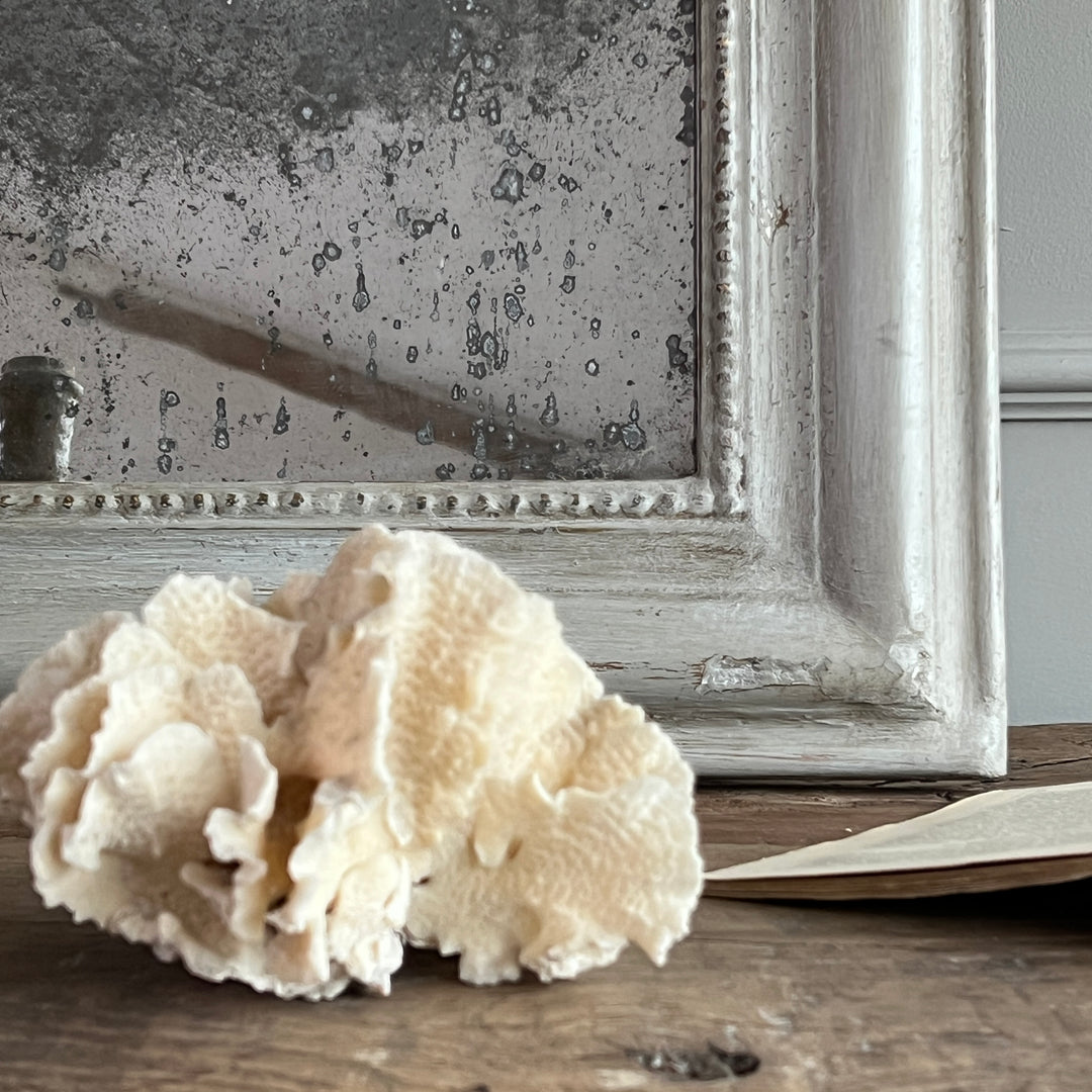 Antique French Foxed Mirror | Goring