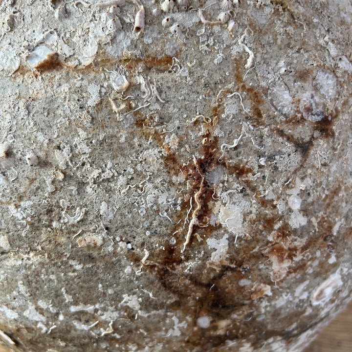 Antique Shipwreck Storage Jar | Singburi 8720910