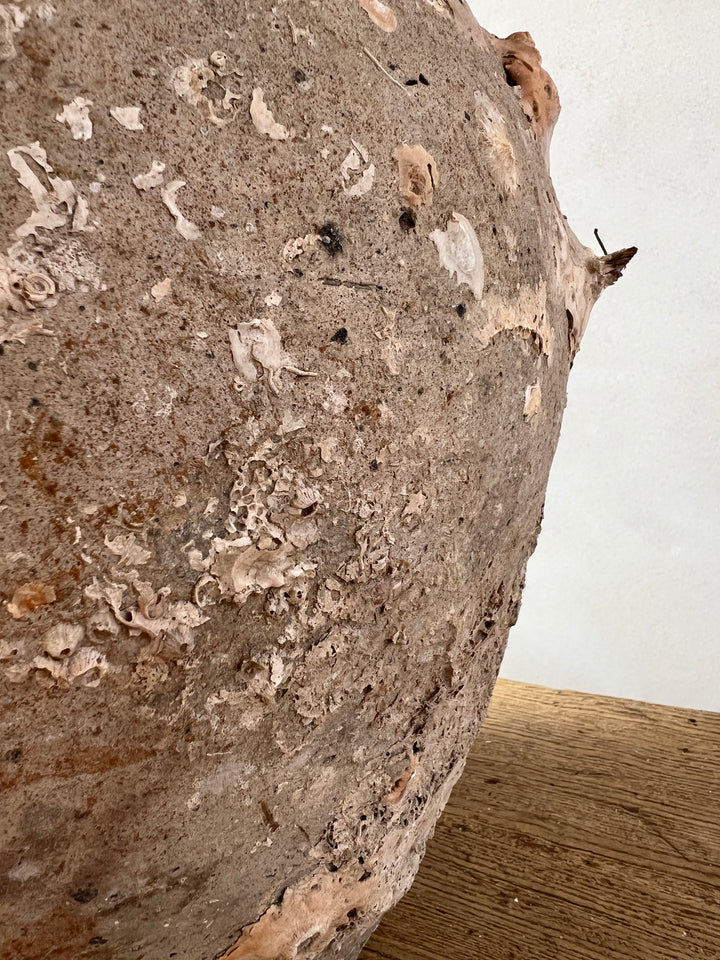 Antique Shipwreck Storage Jar | Singburi 8720910