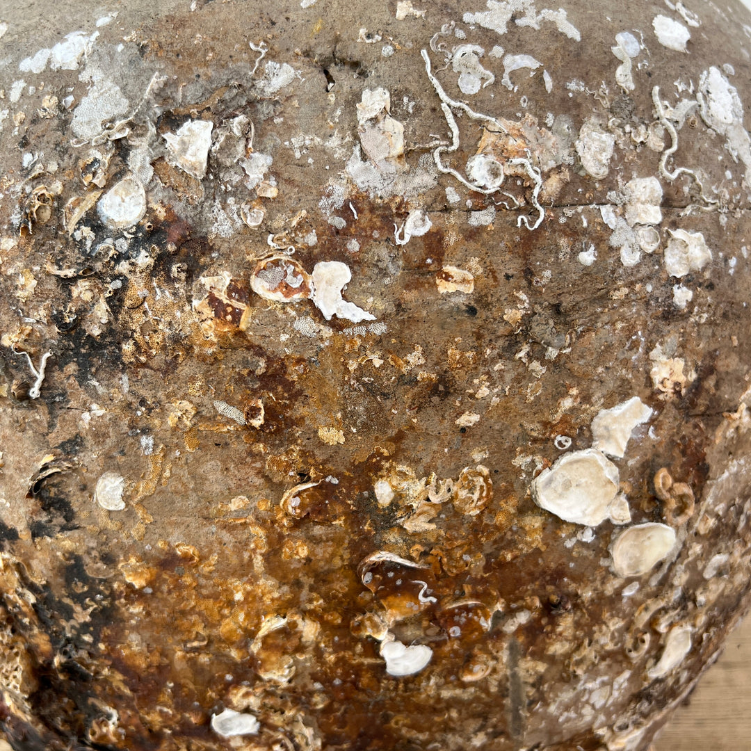 Antique Shipwreck Storage Jar | Singburi 8720911