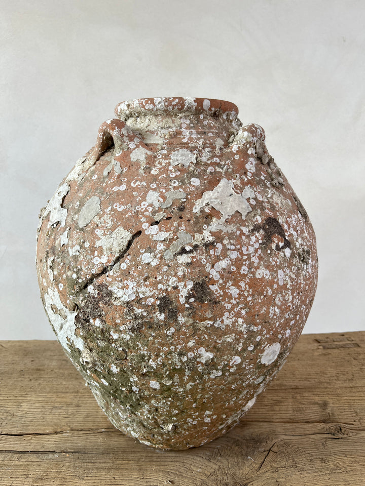 Antique Shipwreck Storage Jar | Singburi 8720913