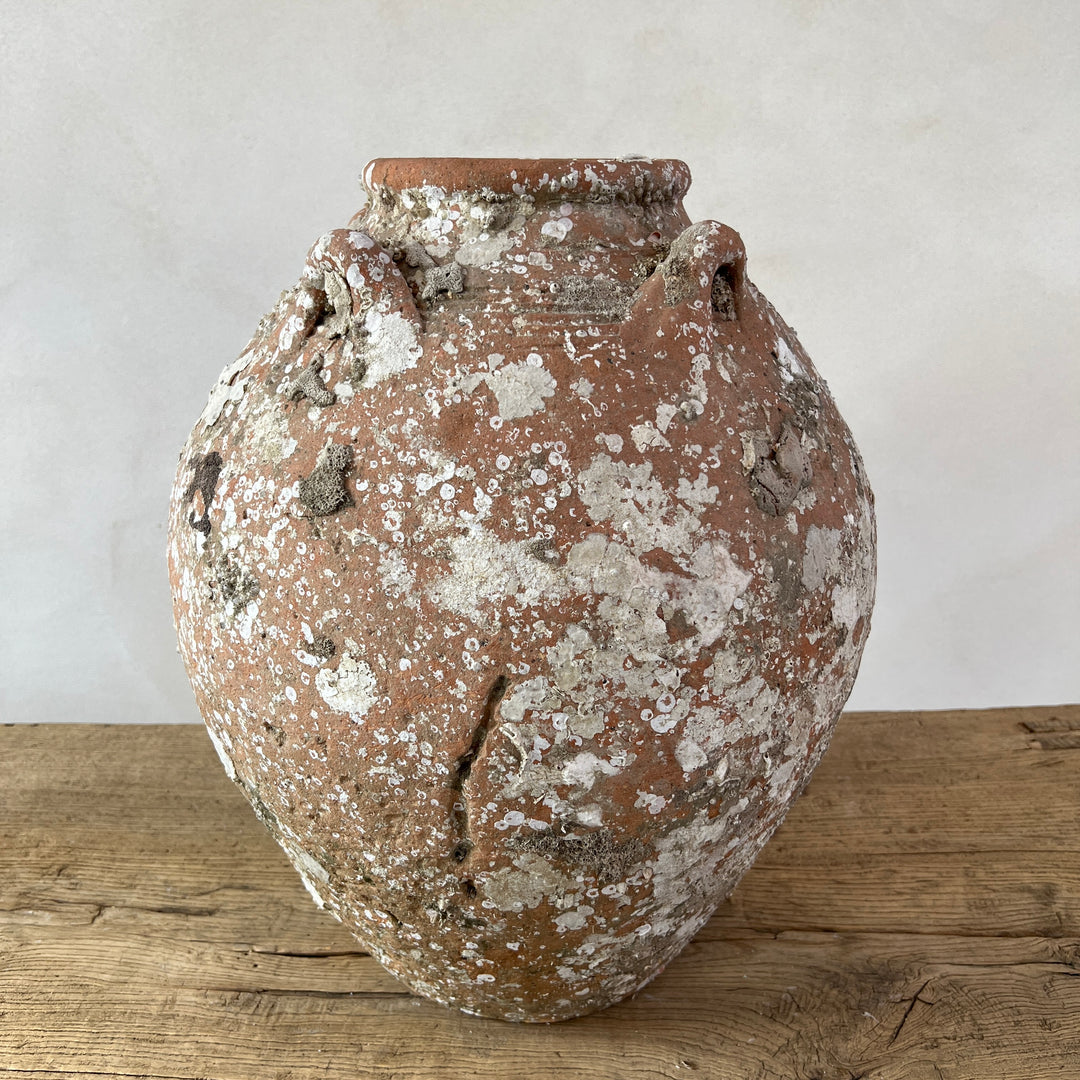 Antique Shipwreck Storage Jar | Singburi 8720913