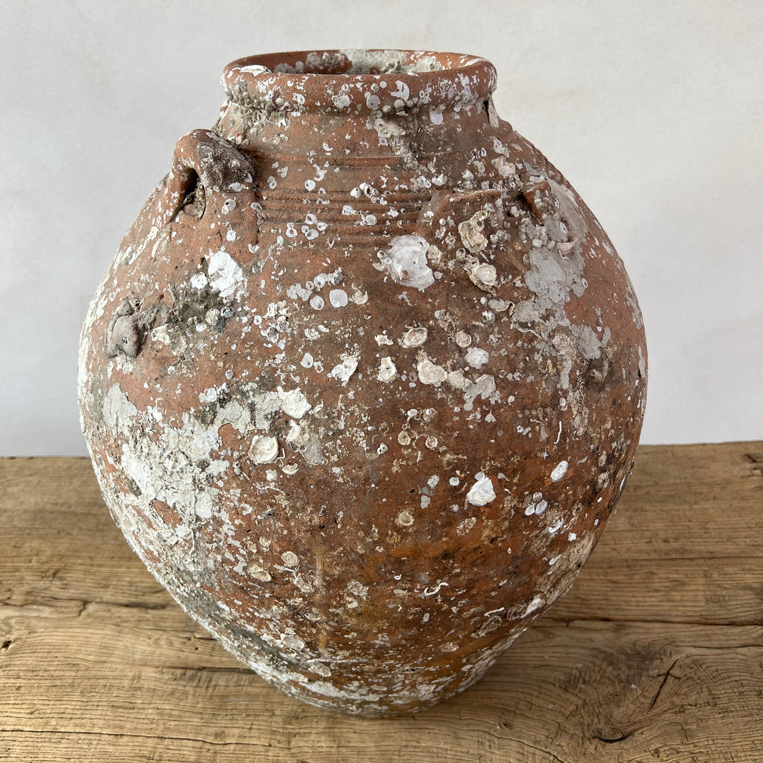 Antique Shipwreck Storage Jar | Singburi 8720913