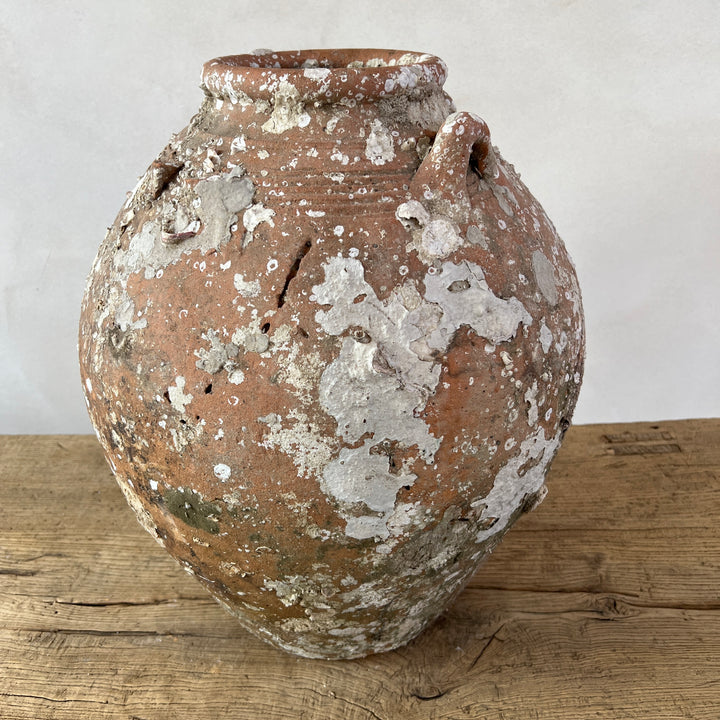 Antique Shipwreck Storage Jar | Singburi 8720913