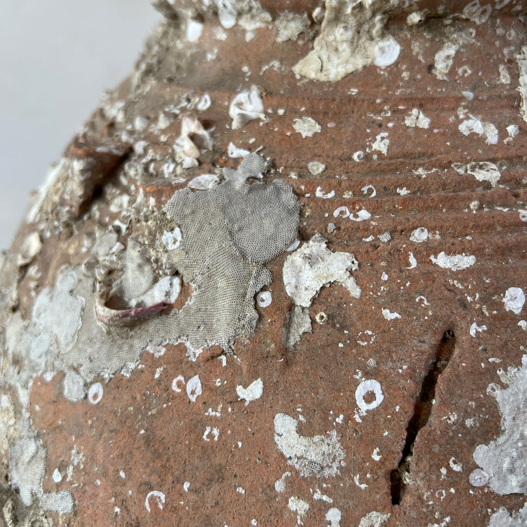 Antique Shipwreck Storage Jar | Singburi 8720913