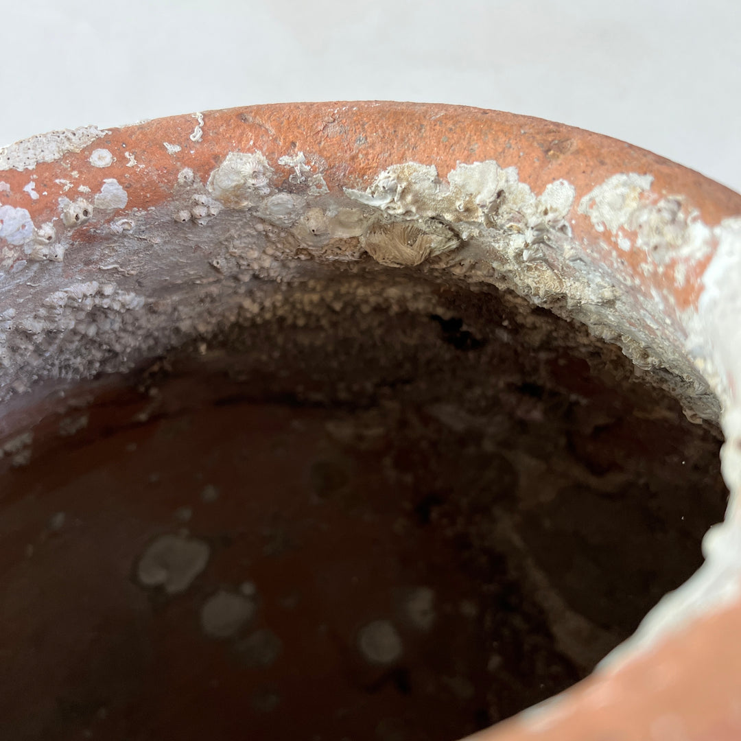 Antique Shipwreck Storage Jar | Singburi 8720913