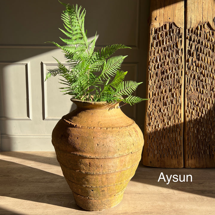 Antique Terracotta Olive Urns