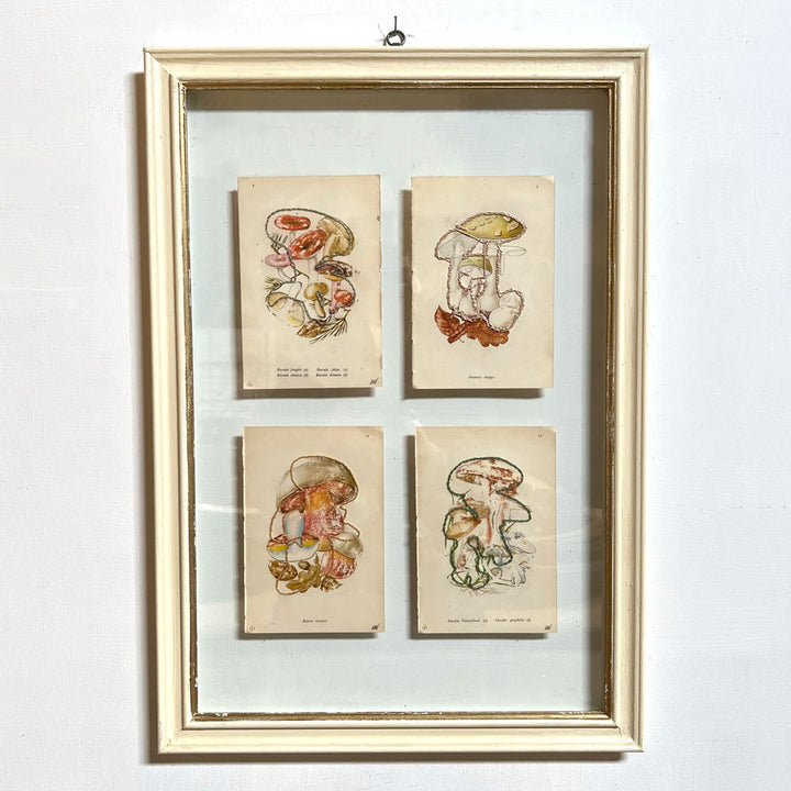 Mixed Botanical bookplate Art