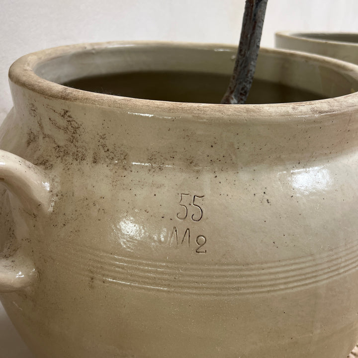 Extra large French Confit Pot/Planter