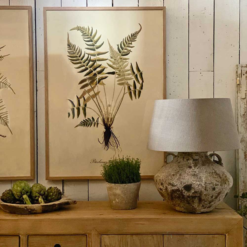 Extra Large Botanical Artwork | Blechnum Accidentale