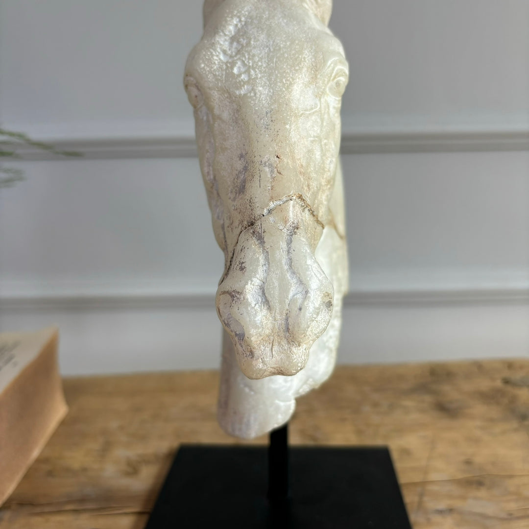 HORSE HEAD SCULPTURE MONTI