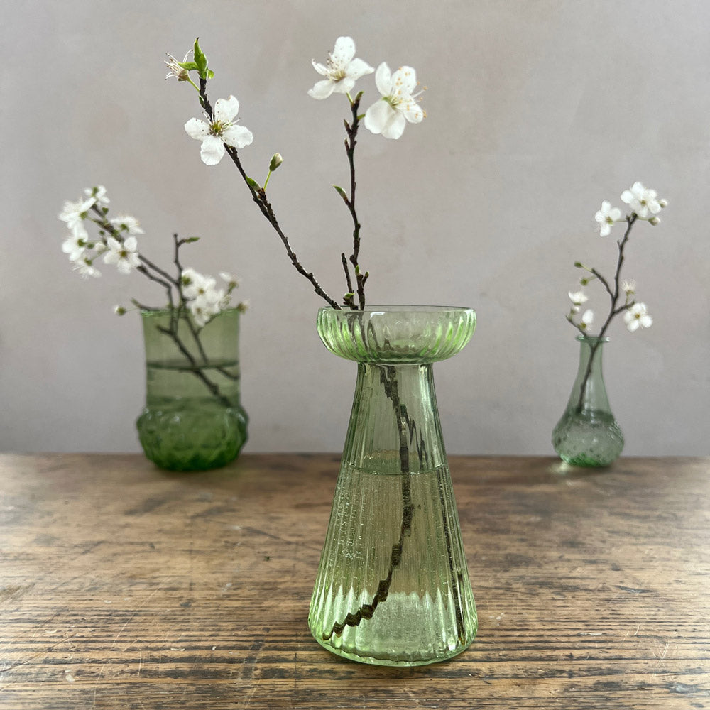 Glass Bud Vase Hyacinth