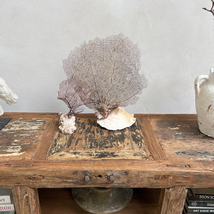 Vintage Rustic Wood Counter | Loa