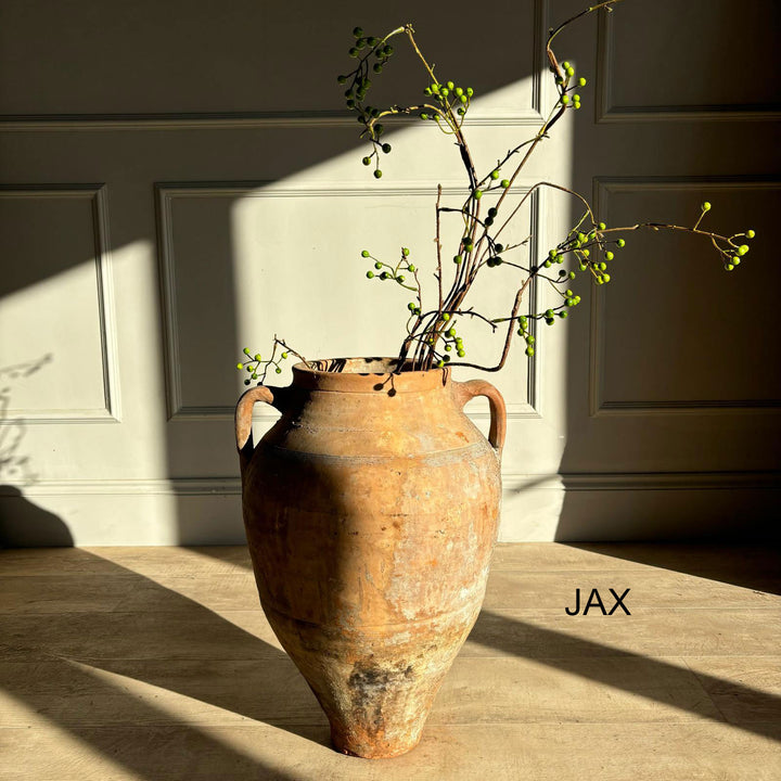 Antique Terracotta Urns with handles