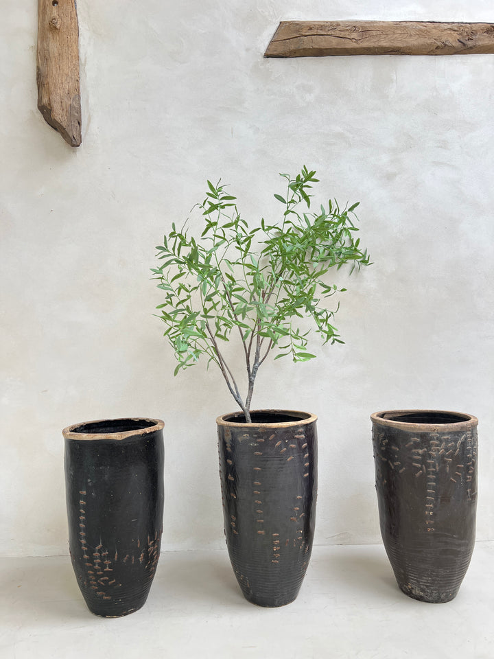 Large antique Shanxi preserve pot planter