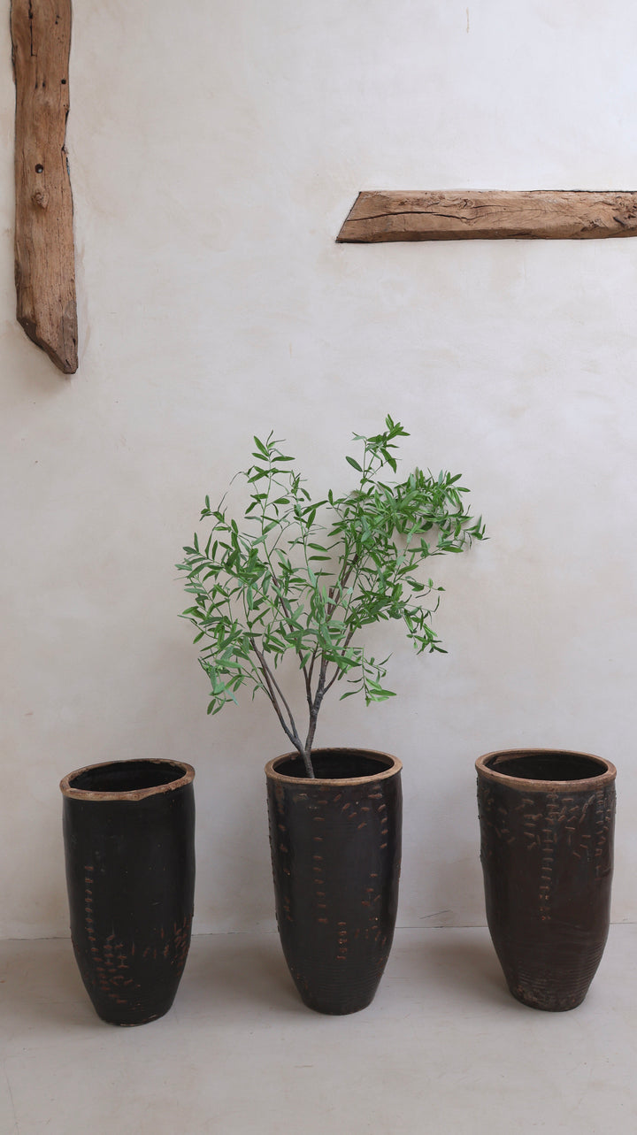 Large antique Shanxi preserve pot planter