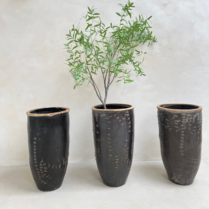 Large antique Shanxi preserve pot planter