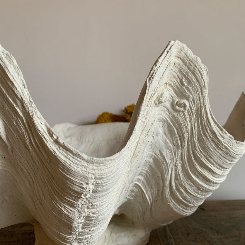 Plaster Conch Shell Vase | Medium
