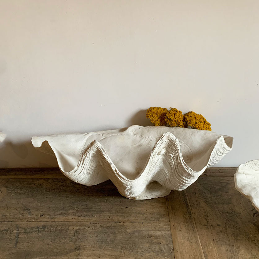 Plaster Conch Shell Vase | Medium