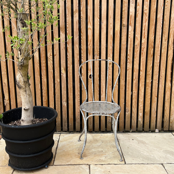 Pair of Vintage French Wire Garden Chairs
