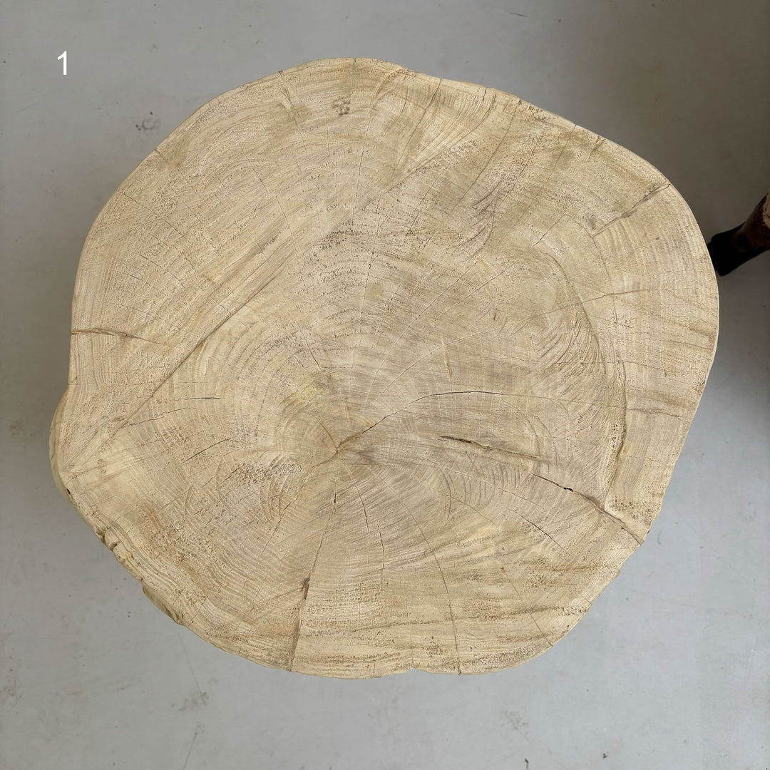 Tree trunk side table elm 1a surface