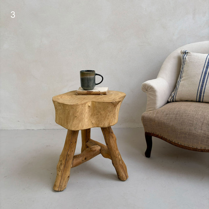 Tree trunk side table elm table 3