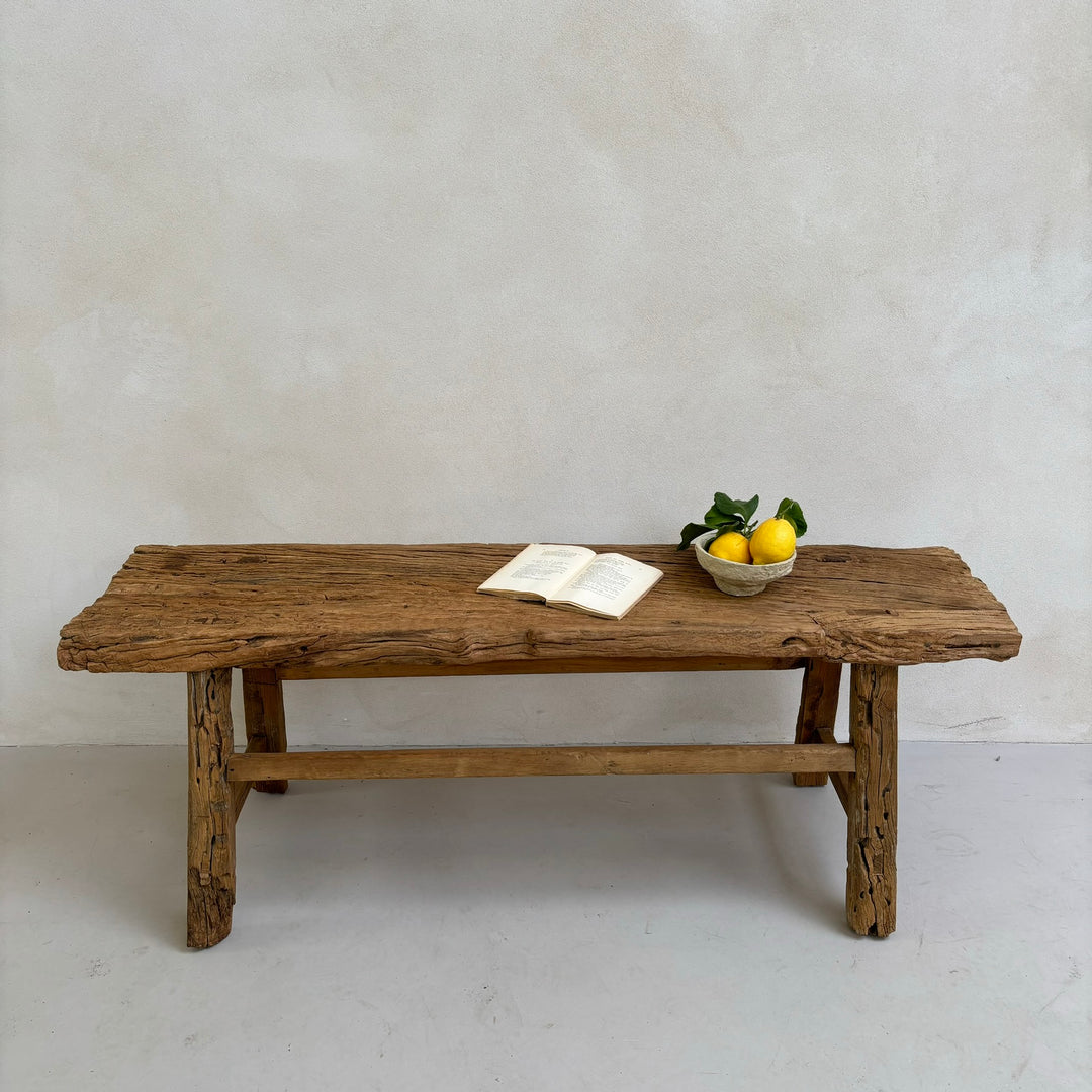 Unique antique elm bench | Sasha with lemon bowl