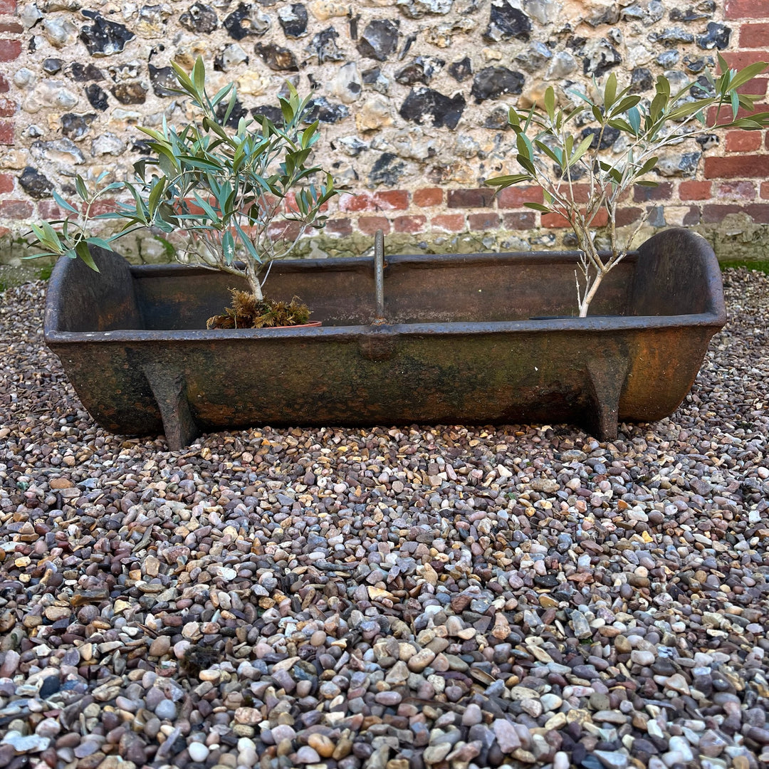 Vintage Cast iron feeding trough planter