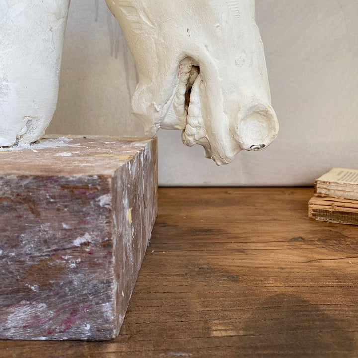 Large Hand Carved Horse Head | Bailiey