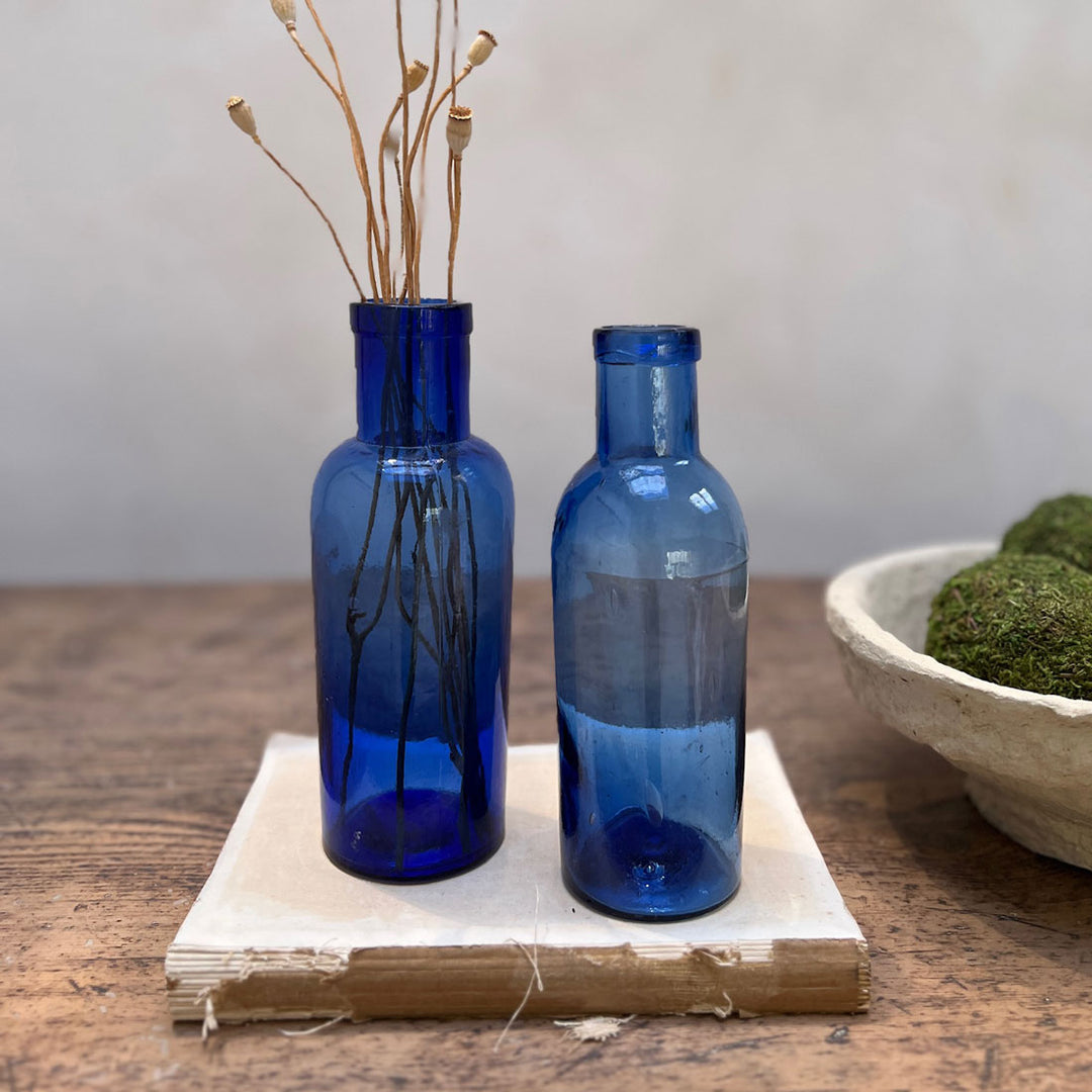 Pair of Victorian Apothecary Bottles B