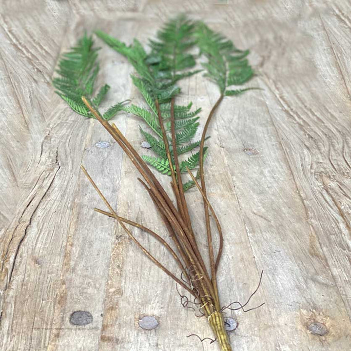 Faux Fern | Five Stems