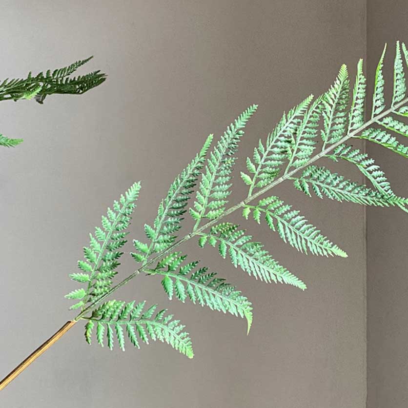 Faux Fern | Five Stems