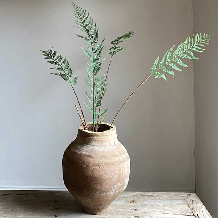 Faux Fern | Five Stems