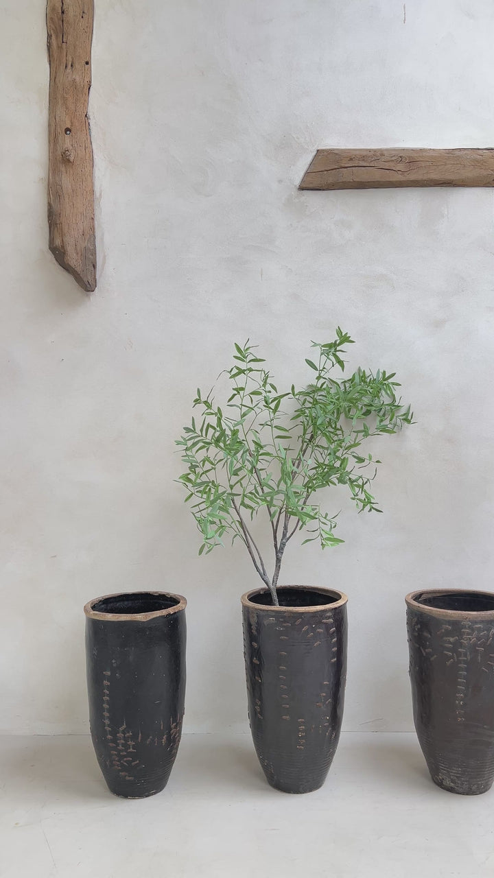 Large antique Shanxi preserve pot planter