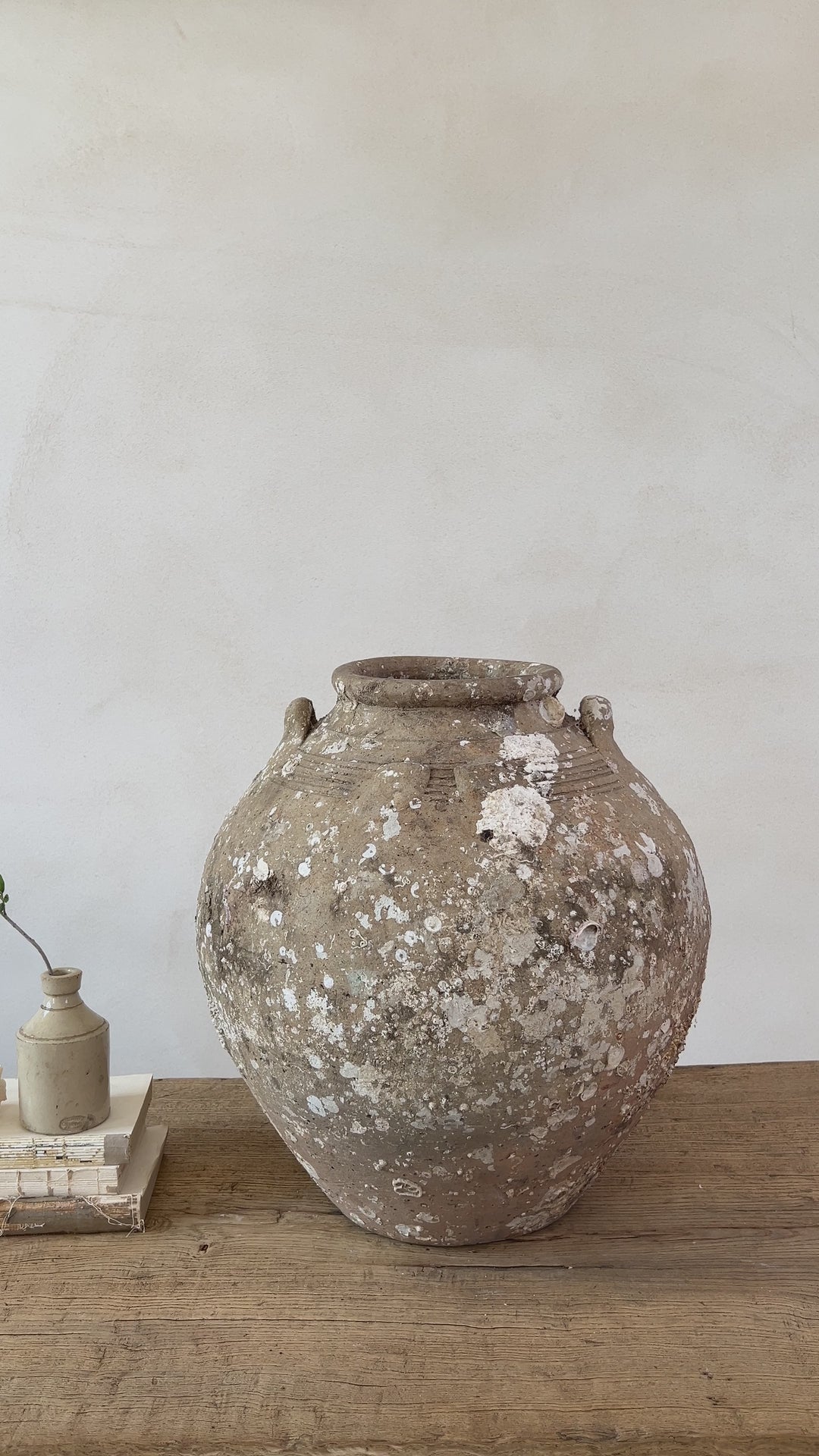 Antique Shipwreck Storage Jar | Singburi 8720911