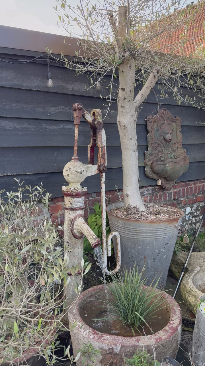 Antique French water feature