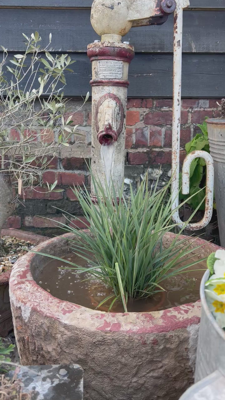 Antique French water feature 1