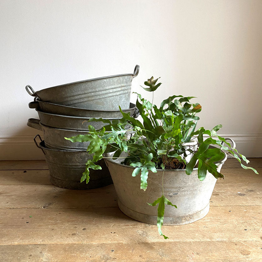 Round vintage galvanised planter