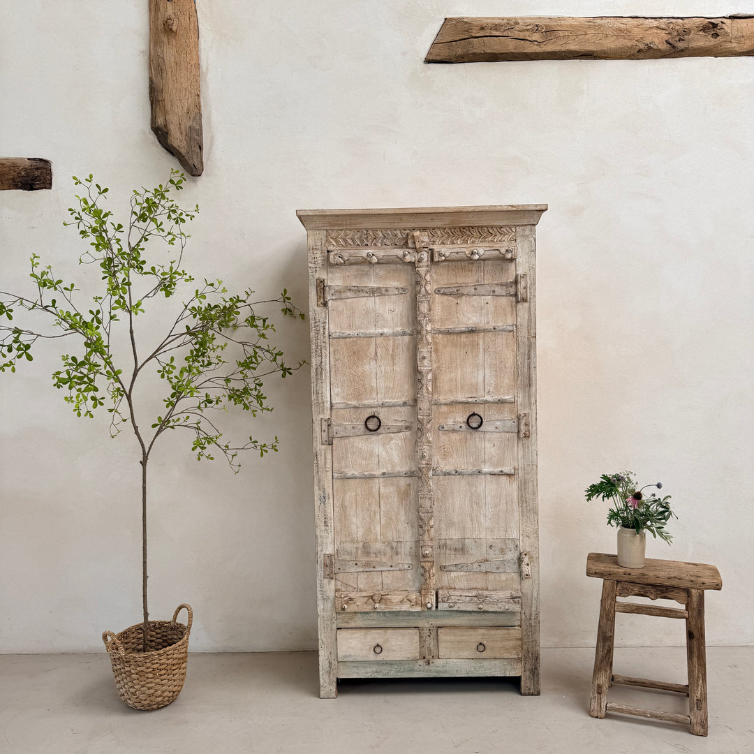 Salvaged Indian Antique Door Cupboard Rena