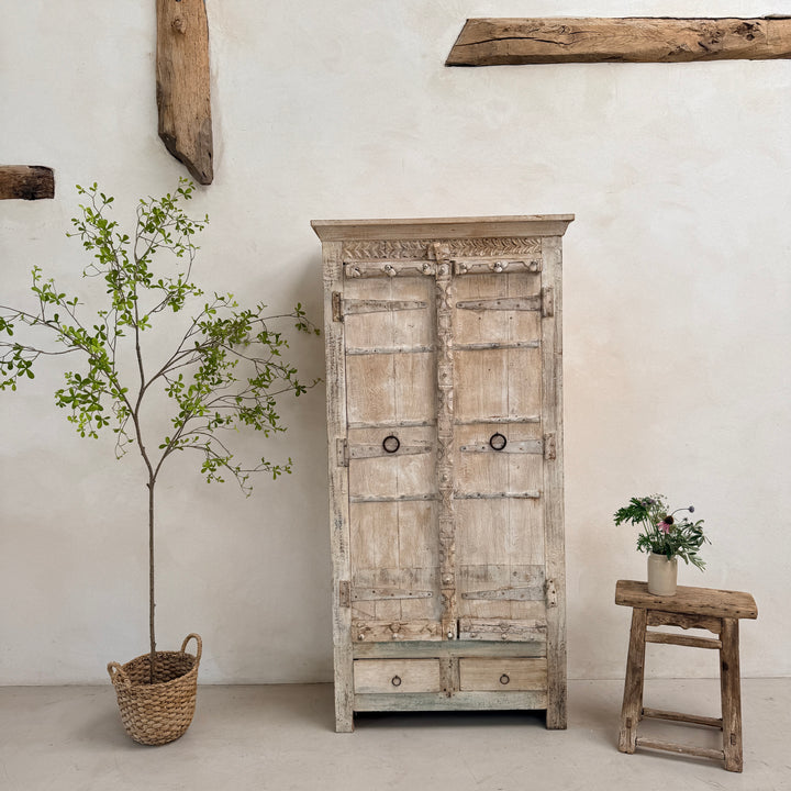 Salvaged Indian Antique Door Cupboard Rena