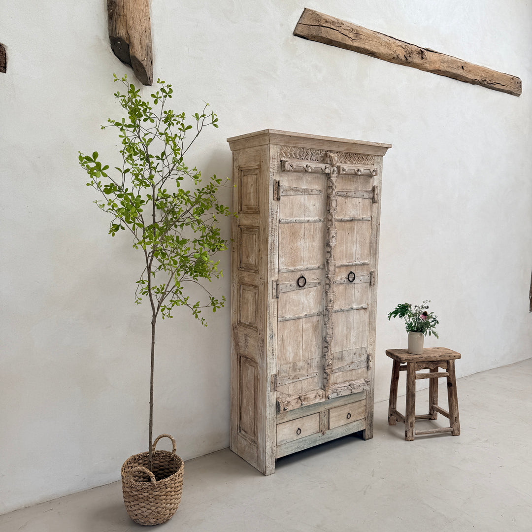 Salvaged Indian Antique Door Cupboard Rena