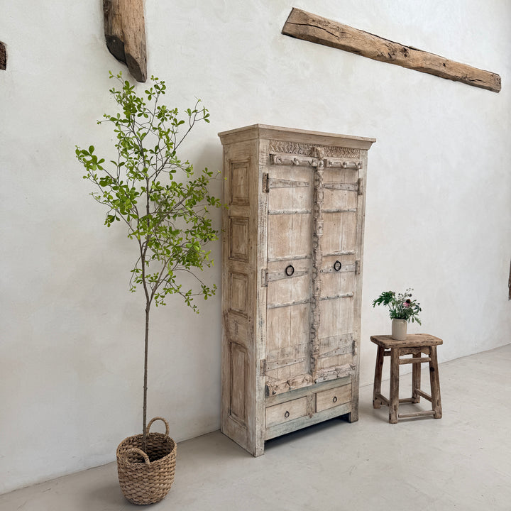 Salvaged Indian Antique Door Cupboard Rena