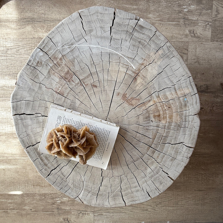 Tree Stump Side Table | Brentwood
