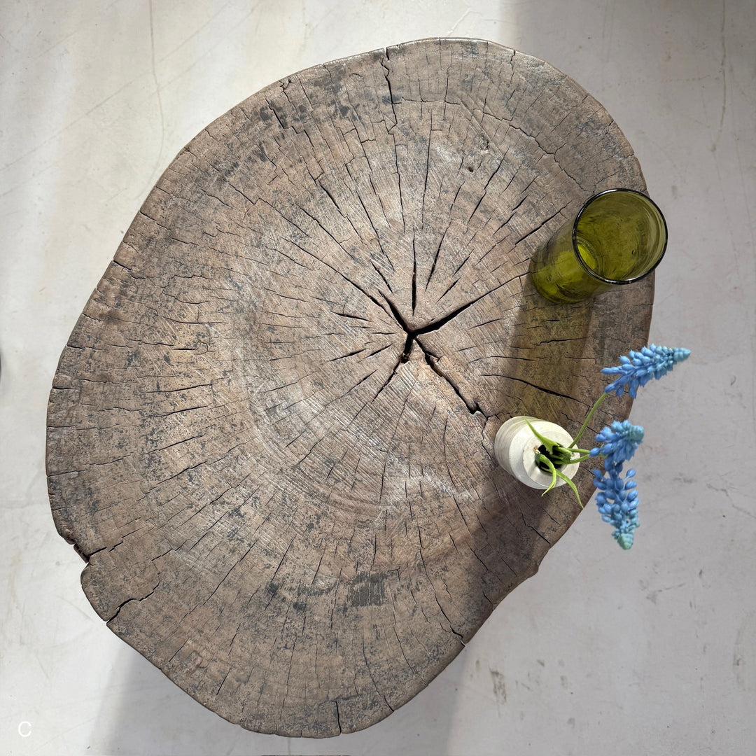 Natural Tree Trunk Side Table