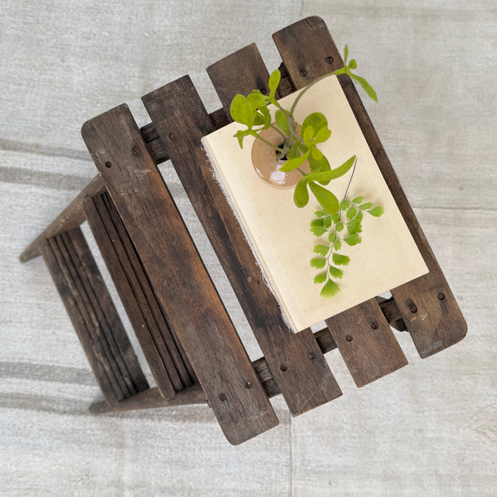 Folding vintage step stool | Vinnie