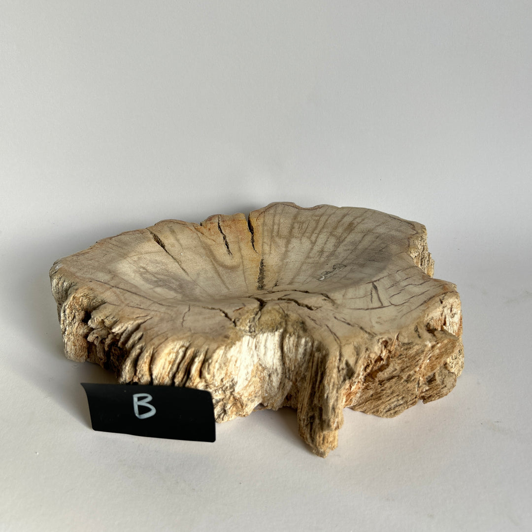 Petrified Wood stone Bowls
