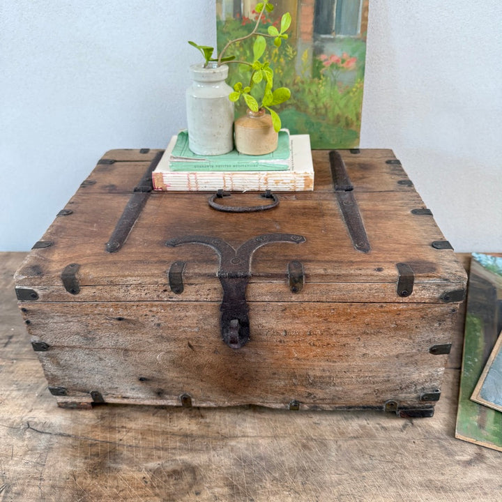 Antique Indian Elm Storage Box | Nina